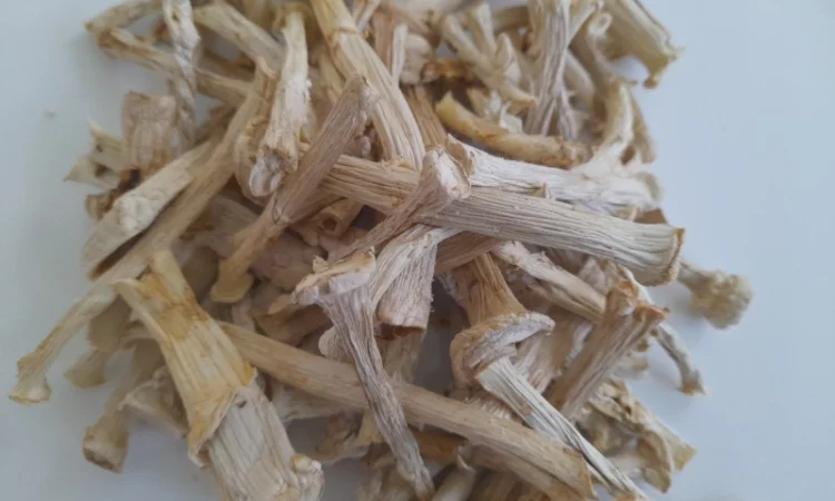 Ніжки пантерного мухомора - фото № 2