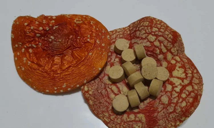 Червоний мухомор в гранулах - фото № 1