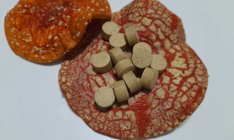 Червоний мухомор в гранулах - фото № 3