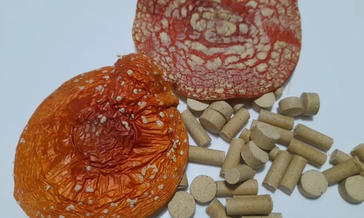 Червоний мухомор в гранулах - фото № 4