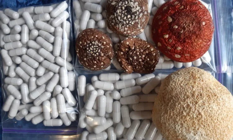Мухомор в капсулах на продажу - фото № 1