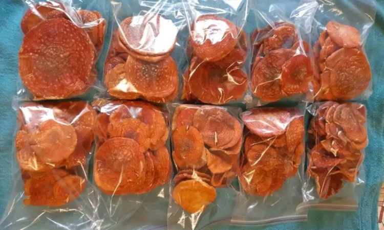 Продажа сушеного мухомора 1 сорта - фото № 3