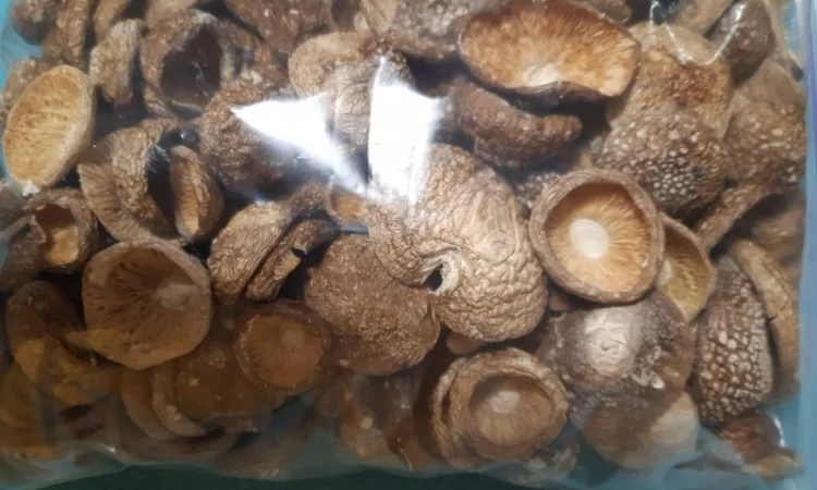 Продажа сушеного мухомора 1 сорта - фото № 4