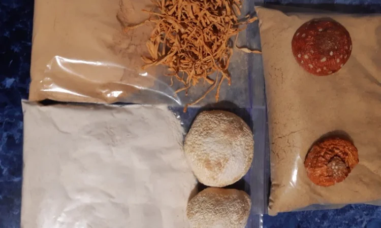 Продажа сушеного мухомора 1 сорта - фото № 6