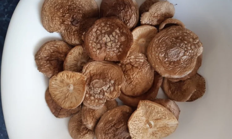 Продаю пантерний мухомор 2025 року - фото № 2