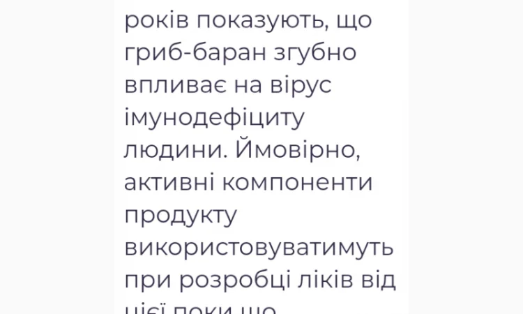 Продаю сушений гриб майтаке - фото № 3