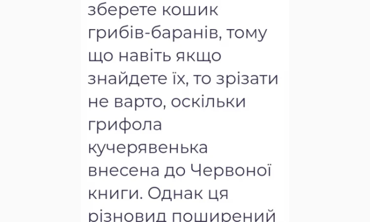 Продаю сушений гриб майтаке - фото № 6