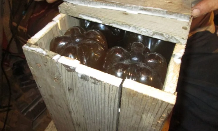 Настойка мухомора ферментированного - фото № 1