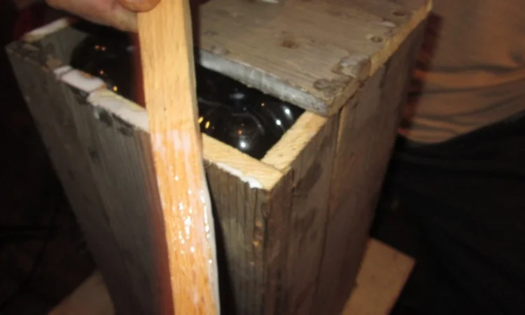 Настойка мухомора ферментированного - фото № 2