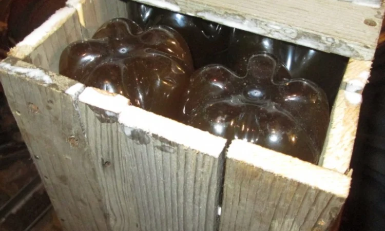 Настойка мухомора ферментированного - фото № 3