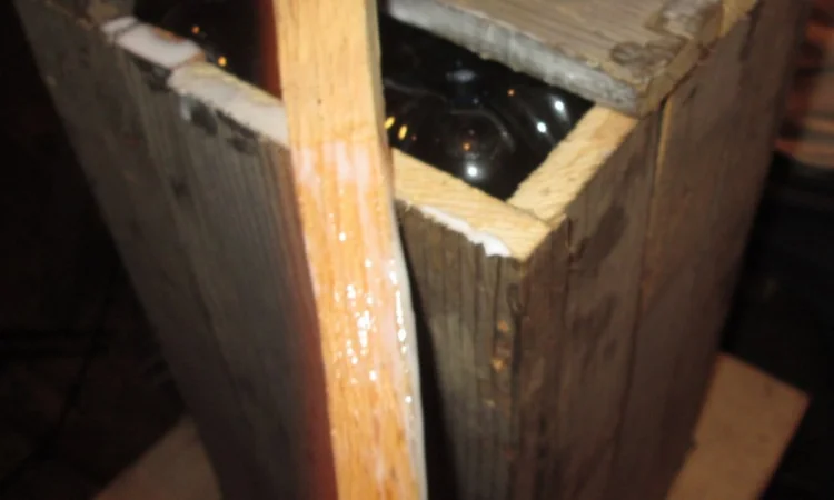 Настойка мухомора ферментированного - фото № 4