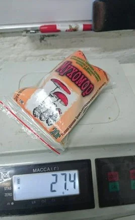 Мухомор сушеный красный 6 грн за грамм - фото № 6