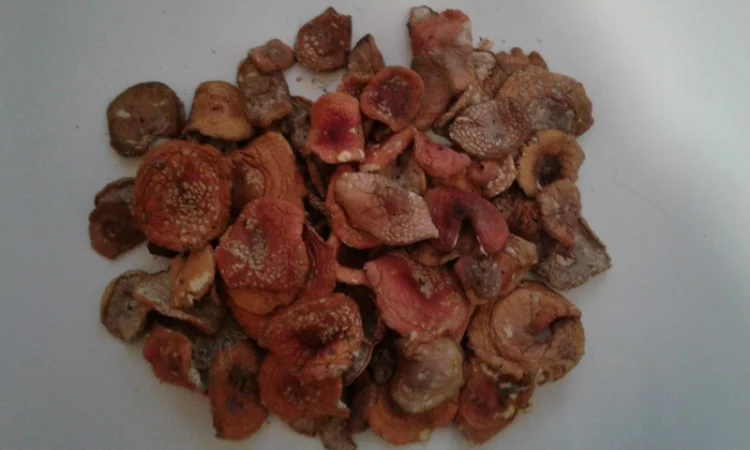 Мухомор сушеный 2023 год - фото № 3