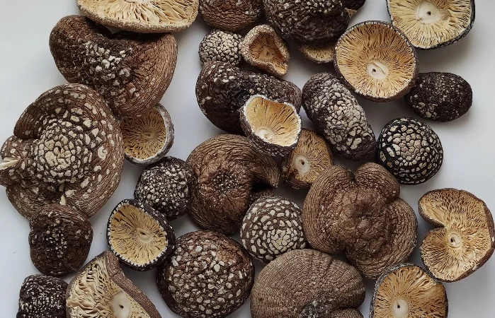 Мухомор пантерный - фото № 1