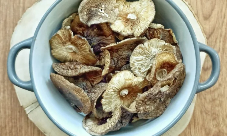 Пантера 2025 - сушені капелюшки пантерного мухомора - фото № 1