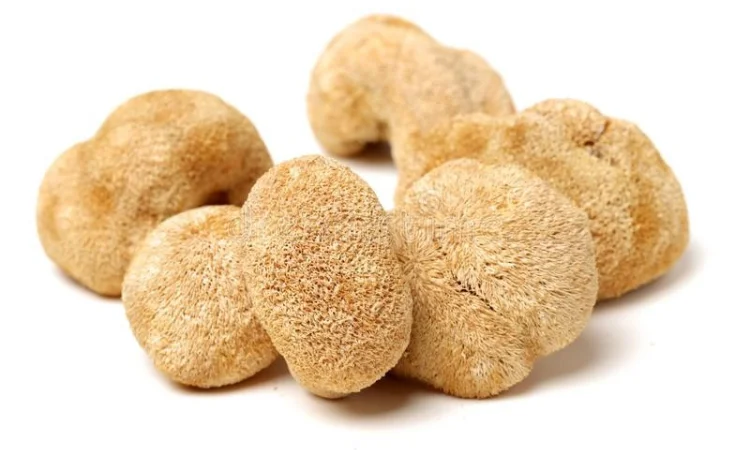 Ежовик (Їжовик ежевик) гребінчатий гребенчатый цілий гриб гериций - фото № 4