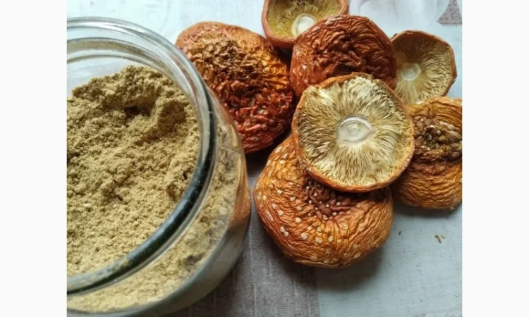 Шляпки мухомора червоного на продаж - фото № 4