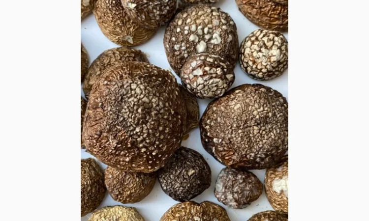 Пантерний мухомор висушений, очищений від піску - фото № 1