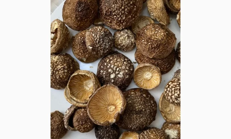 Пантерний мухомор висушений, очищений від піску - фото № 2