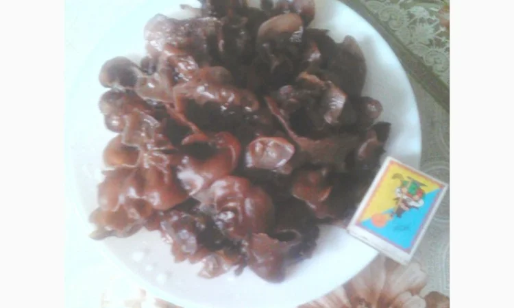 Гриб Иудино ухо сухой и маринованный на продажу - фото № 2