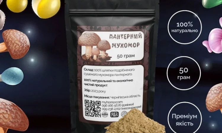 Мухомор Пантерний мелені шляпки - фото № 1