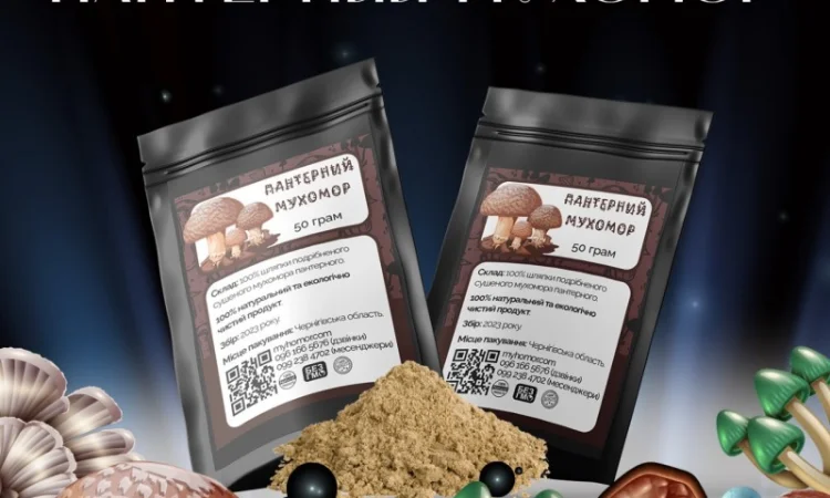 Мухомор Пантерний мелені шляпки - фото № 2