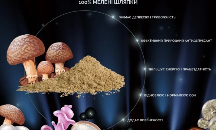 Мухомор Пантерний мелені шляпки - фото № 3