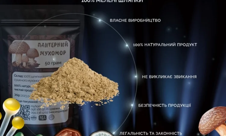 Мухомор Пантерний мелені шляпки - фото № 4