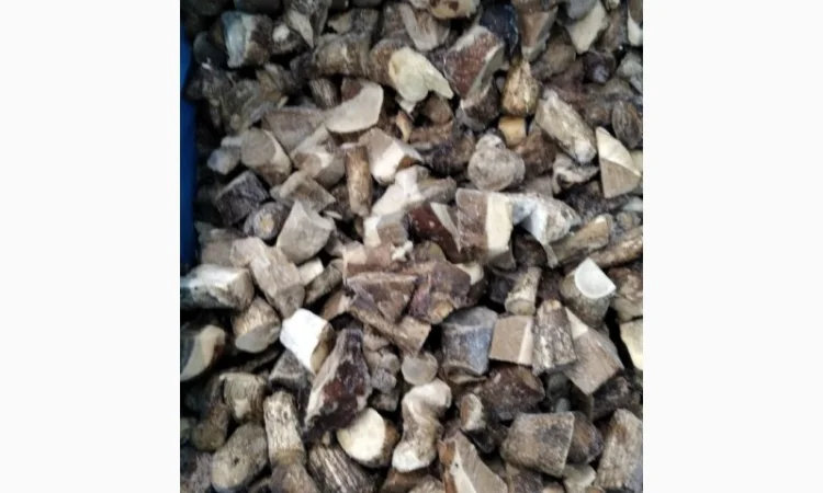 Продам гриби червоноголовці - фото № 2