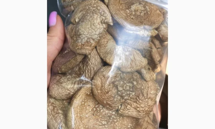 Сухие капелюшки пантерного мухомора на продажу - фото № 1