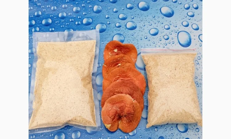 Сушені шляпки червоного мухомора на продаж - фото № 2