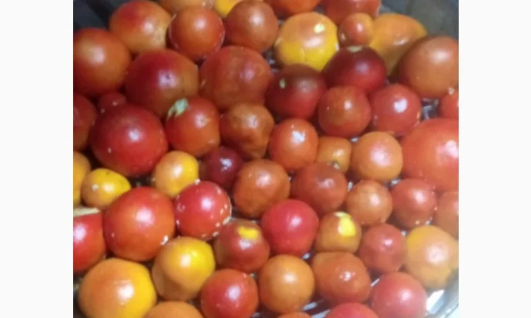 Сушені шапки мухоморів на продаж - фото № 4