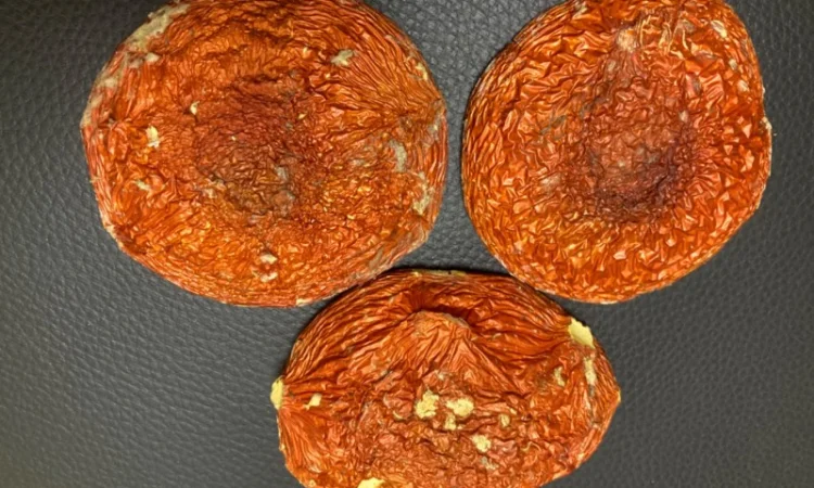 Настоянка з мухомора - фото № 1