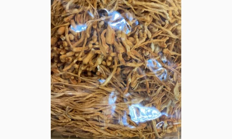 Кордіцепс для підвищення енергії та тонусу організму - фото № 12