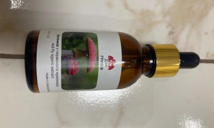 Ежовик гребінчастий - фото № 9