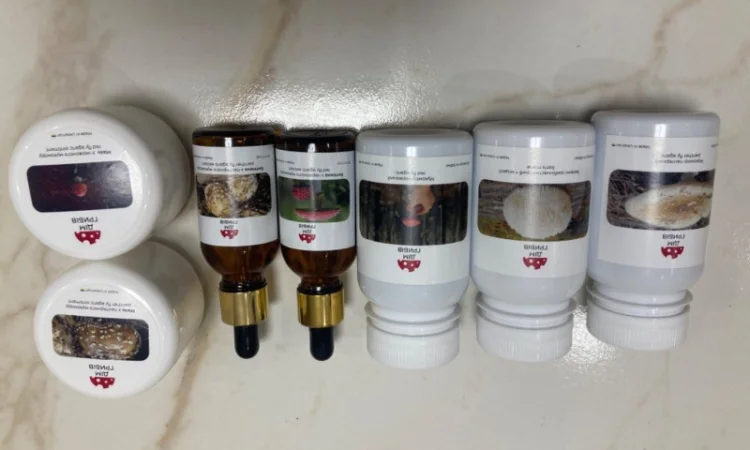 Гриби різні - фото № 14