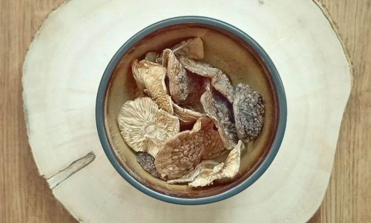 ПАНТЕРНЫЙ МУХОМОР 2024 г. - Сушеные шляпки пантерного мухомора цельные, микродозинг - фото № 1