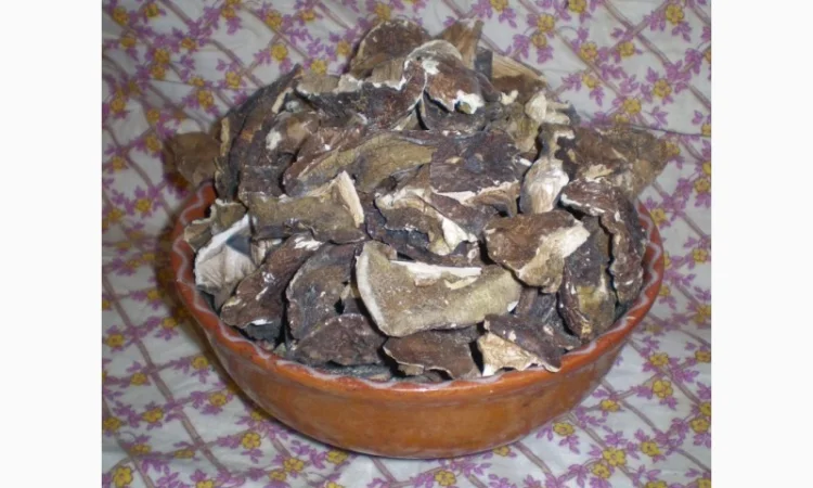 Польские сушеные грибы из Карпат - фото № 1