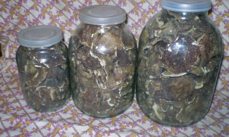 Польские сушеные грибы из Карпат - фото № 2