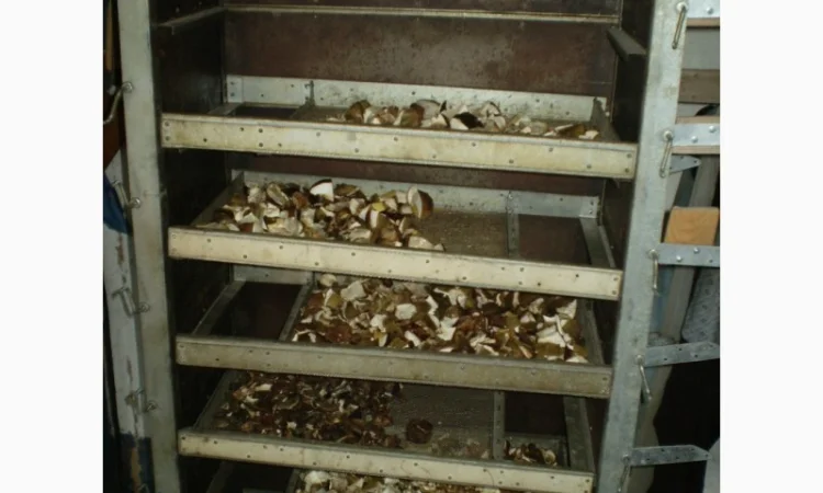 Польские сушеные грибы из Карпат - фото № 7