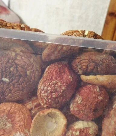 Продам мухомор в капсулах для микродозинга - фото № 7