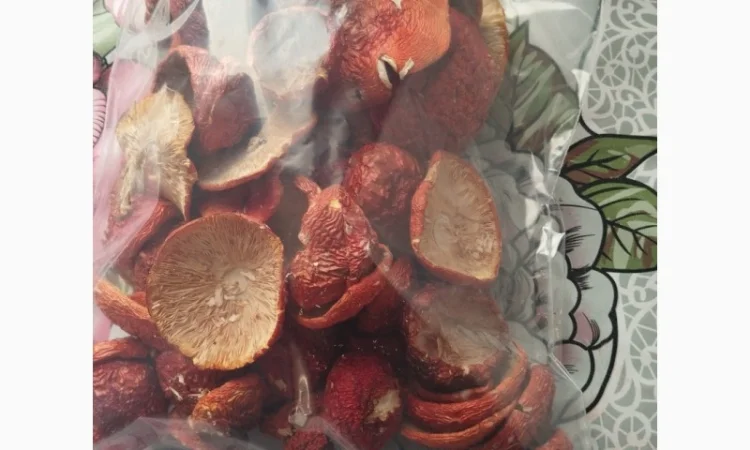 Продаю шляпки червоного мухомора - фото № 1