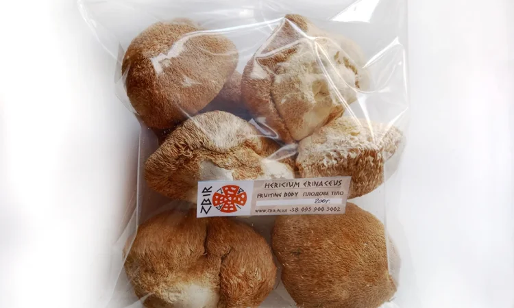 Продаж Їжовика Гребінчастого (Hericium erinaceus) - фото № 2