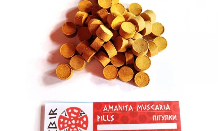 Продаж Мухомора ЧЕРВОНОГО - фото № 8