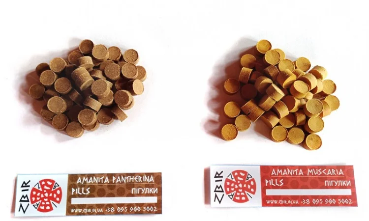 Продажа Пігулки з мухомора червоного та пантерного - фото № 2