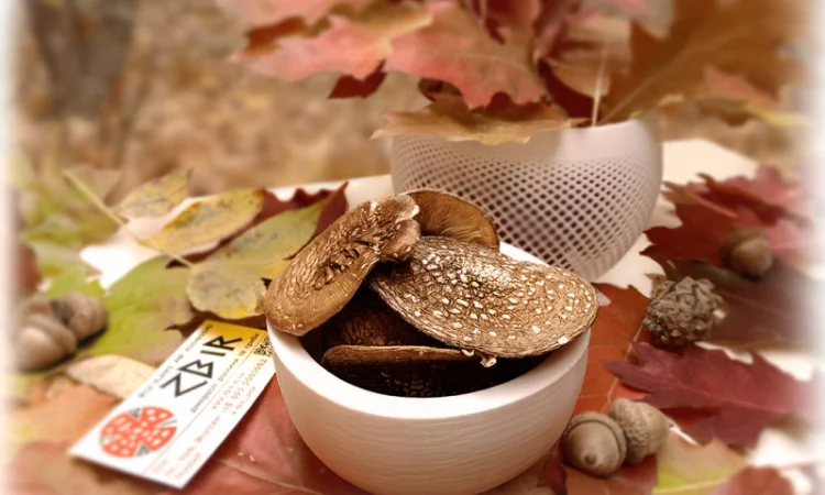 Мухомор ПАНТЕРНИЙ (Amanita Pantherina) на продаж - фото № 1