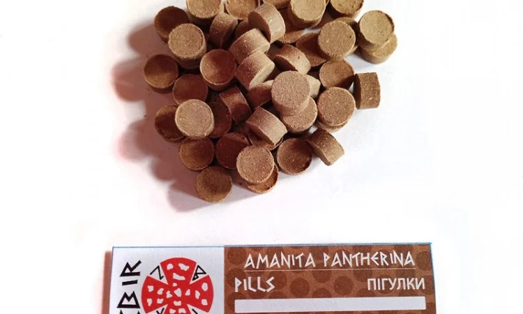 Мухомор ПАНТЕРНИЙ (Amanita Pantherina) на продаж - фото № 7