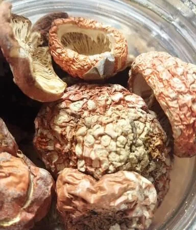 Мухоморы красные и пантерные микродозинг, шляпки, ножки - фото № 10