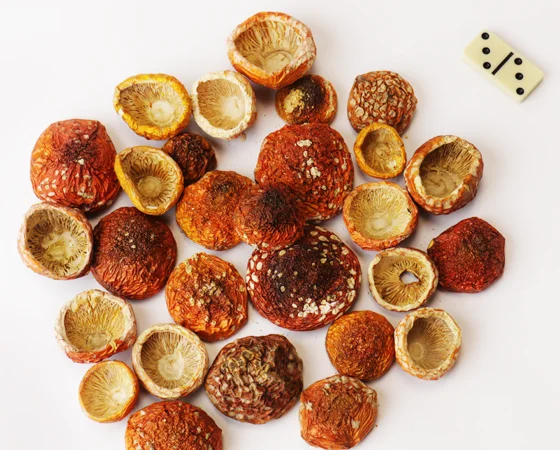 Сушений Красний мухомор, капелюшки - фото № 2