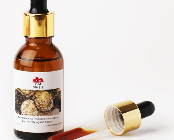 Сушений Красний мухомор, капелюшки - фото № 6